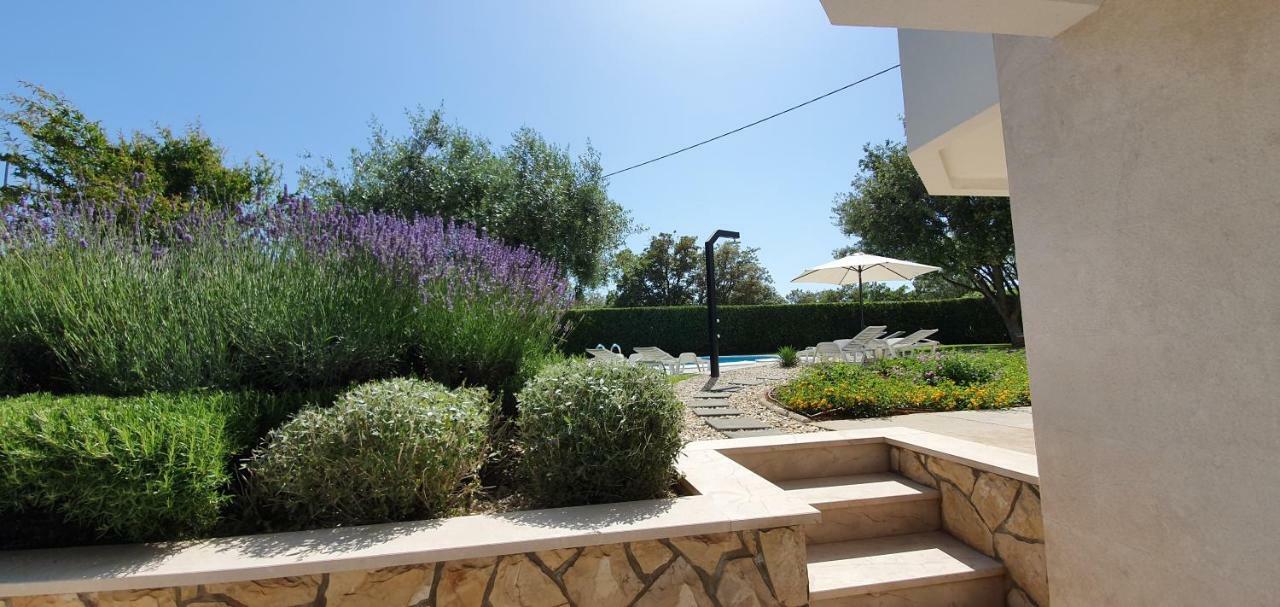 Apartments Sunny Estate Zaton (Zadar) Exterior foto
